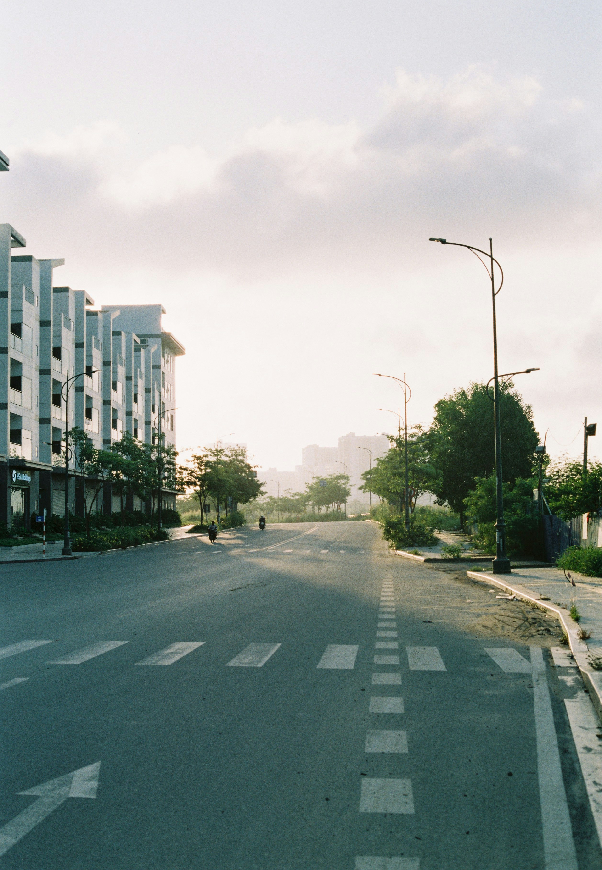 green trees near white concrete building during daytime